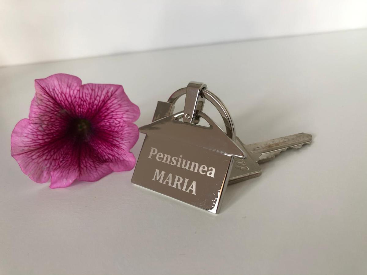 Pensiunea Maria Colibiţa Esterno foto